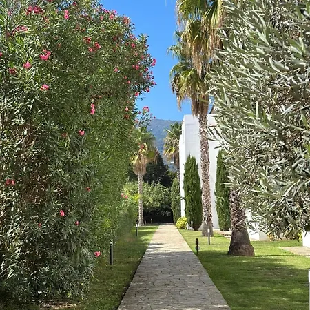 Bord De Apartman San-Nicolao